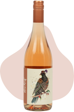2025 Mischief Waipara Rose